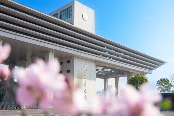 2026-06-11浏览次数